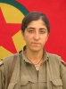 pkk silahlı kuvvetleri