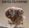 saygı duymak