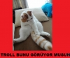 tecavüze uğrayan kadınlar idam edilmelidir düşüncesi / #816963