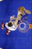 blake griffin