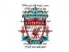 you will never walk alone